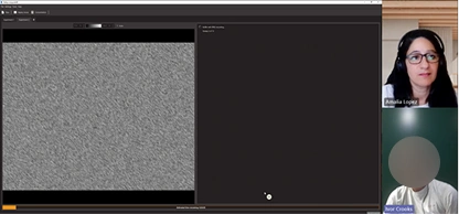 Old software testing session with live preview